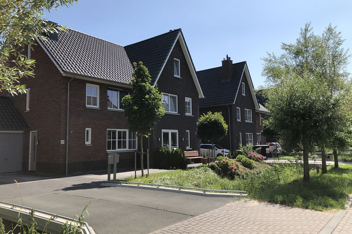 Tuinbouwweg, Park Triangel