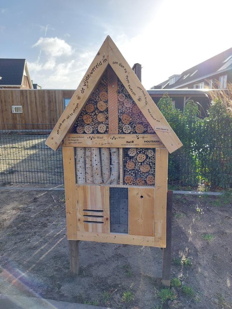 Een boom en insectenhotel als afronding project Wonen in Buyten.