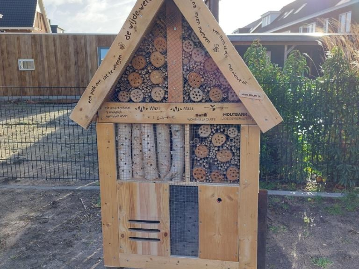 Een boom en insectenhotel als afronding project Wonen in Buyten.