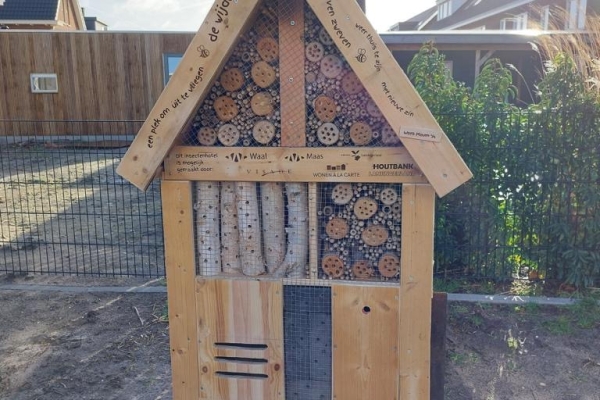 Een boom en insectenhotel als afronding project Wonen in Buyten. : Een boom en insectenhotel als afronding project Wonen in Buyten.